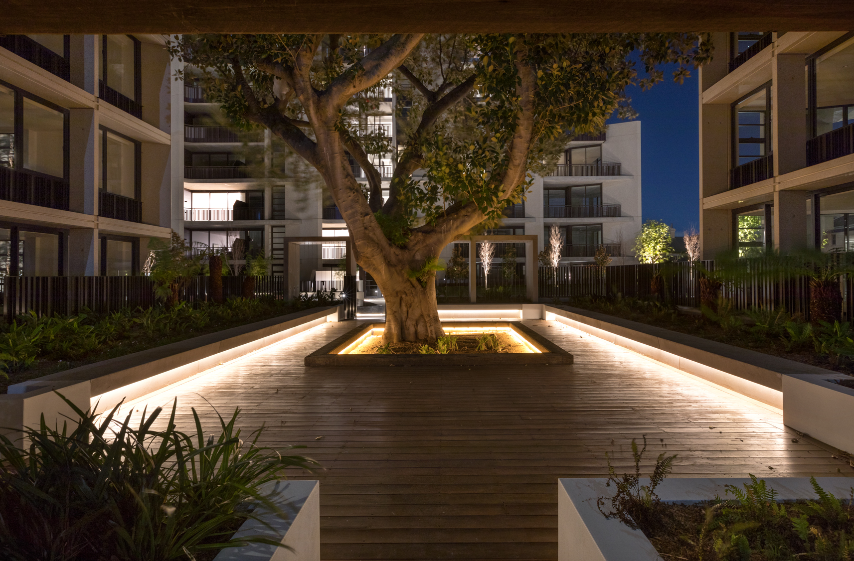 bwinstone_200804_Newmarket_Randwick_2286