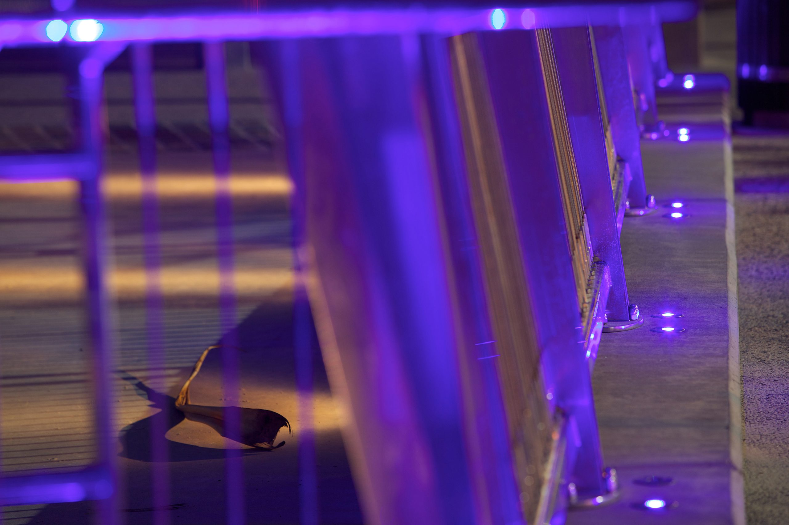 Surfers Paradise Foreshore Lighting
