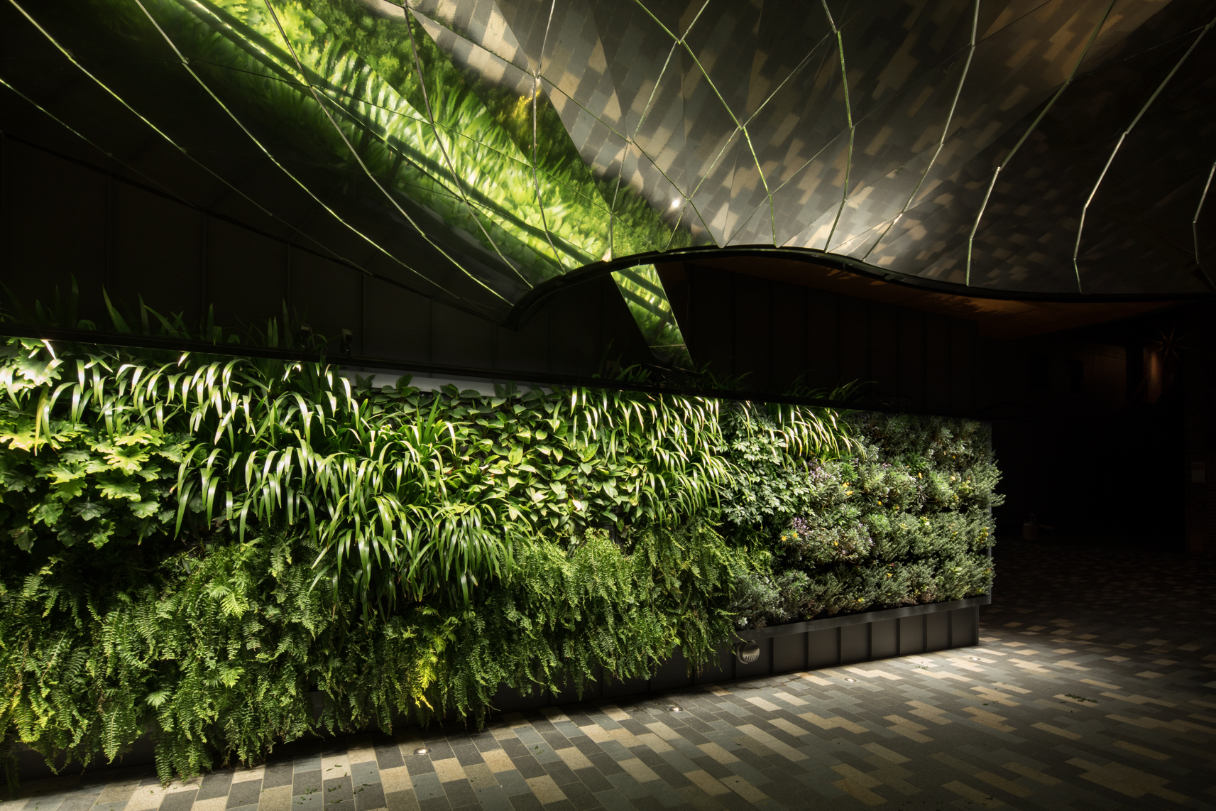 bwinstone_200709_TheCanopy_LaneCove_2170