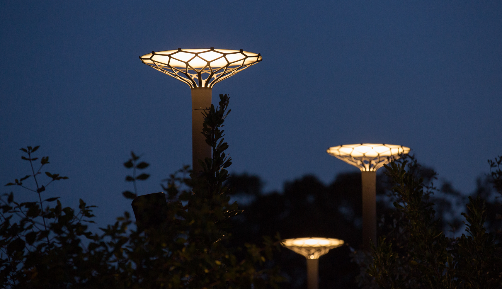 bwinstone_200709_TheCanopy_LaneCove_2362